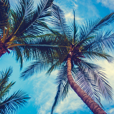 Blue skies photo