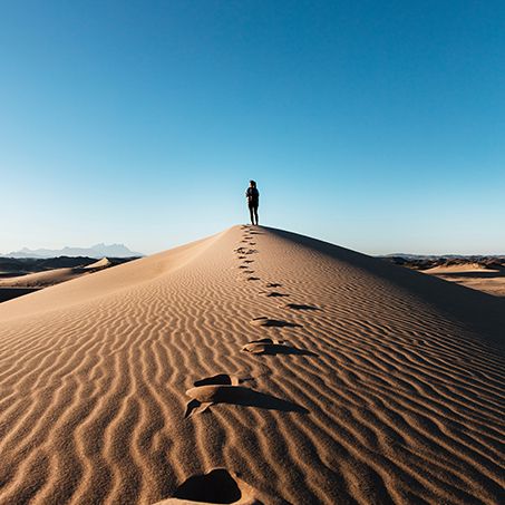 Choisis ton chemin